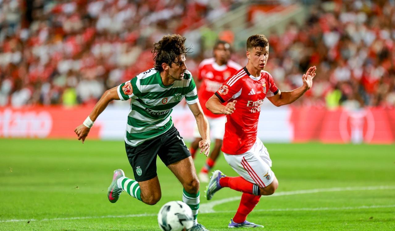 旅恐怕也是, 本竞技的进