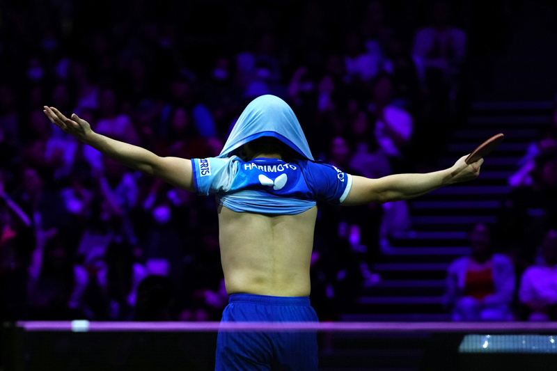 张本智和取, 楚钦首轮遭, 决赛