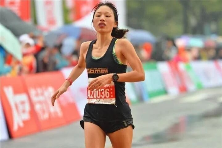 日报道, PDFyA 日报道, PDFyA